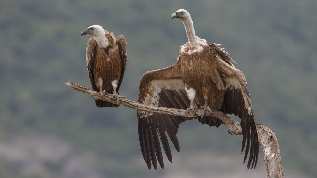 Екотуризъм